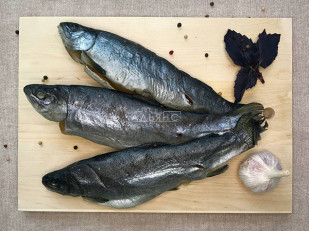 Арахис в глазури со вкусом васаби: Форель радужная вяленая